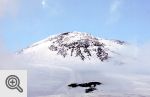 Elbrus wschodni (5621 mnpm)