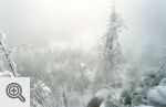 Poniżej tarasu krajobraz jak po bitwie - dzieło wiatru i śniegu