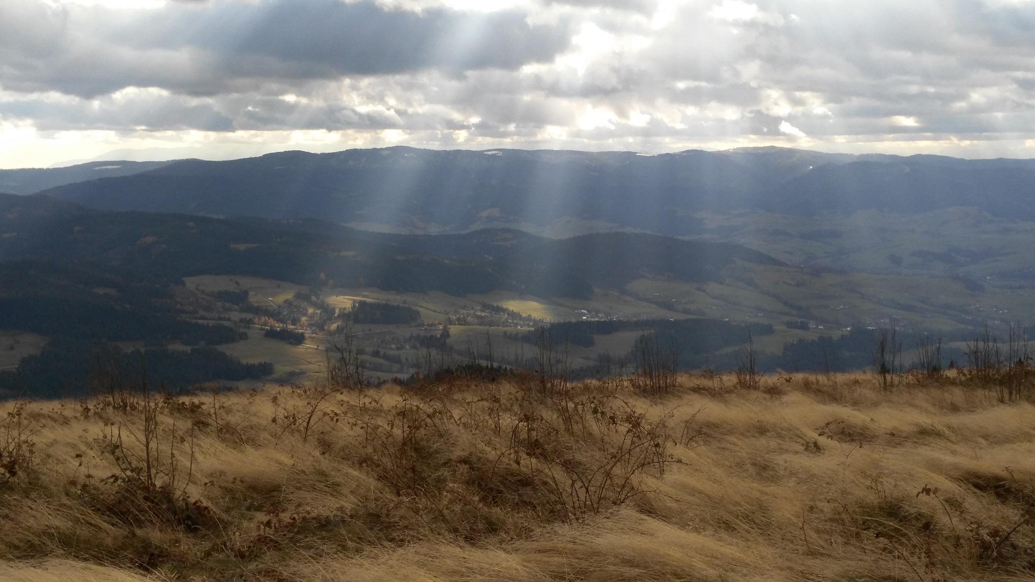 IMG 20151114 122638