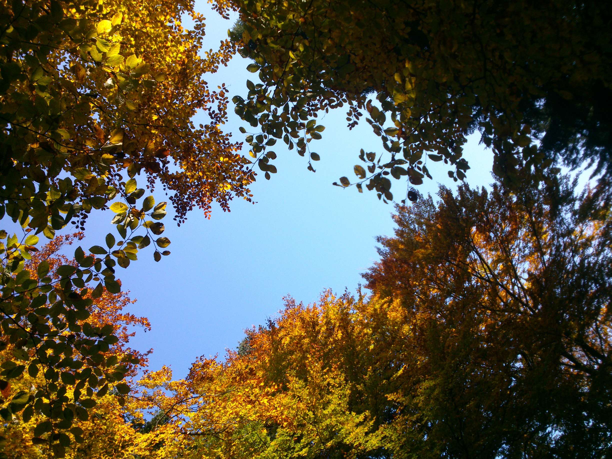 1442338971_tmp_DSC_05241.jpg