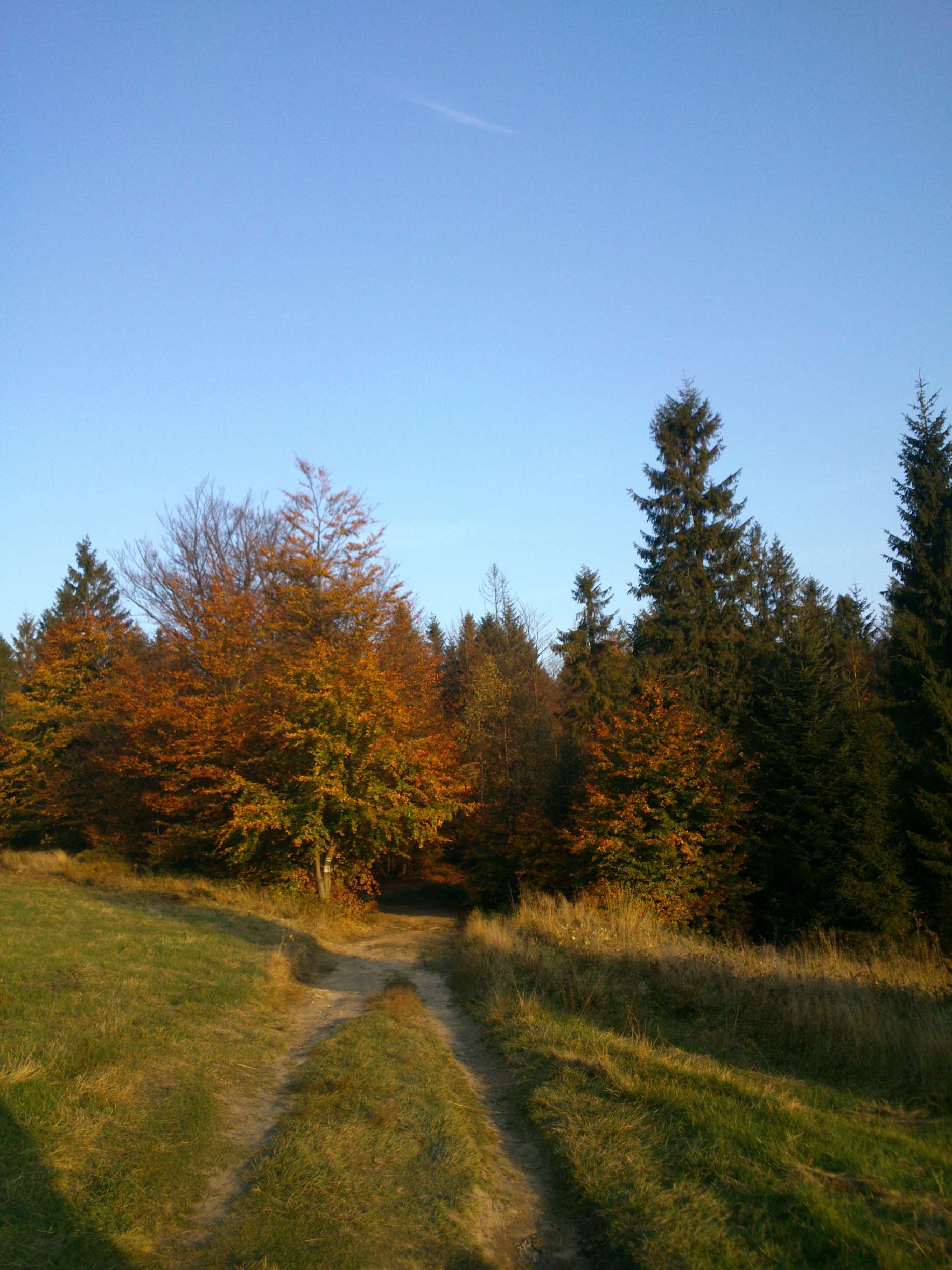1442340198_tmp_DSC_05631.jpg